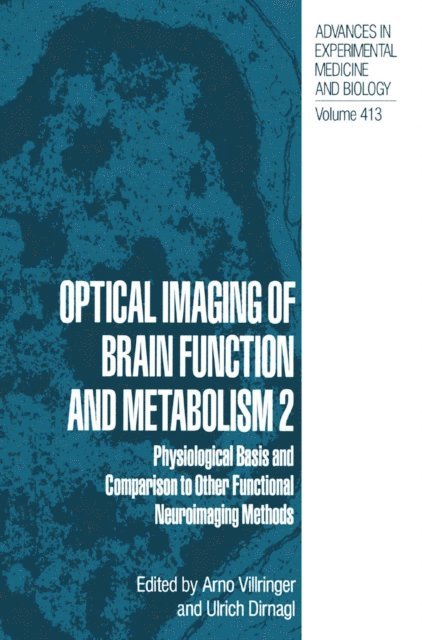 Ulrich Dirnagl, Arno Villringer - Optical Imaging of Brain Function and Metabolism 2, E-bok