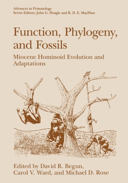 Michael D. Rose, Carol V. Ward, David R. Begun - Function, Phylogeny, and Fossils, E-bok