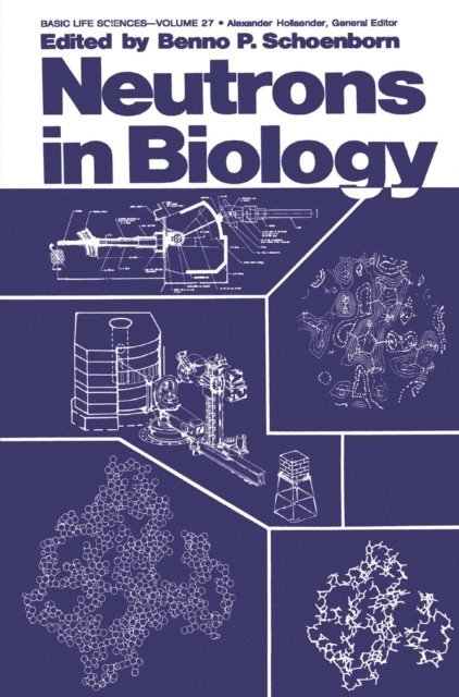 Benno P. Schoenborn - Neutrons in Biology, E-bok
