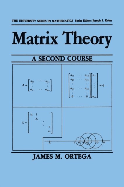 James M. Ortega - Matrix Theory: A Second Course, E-bok