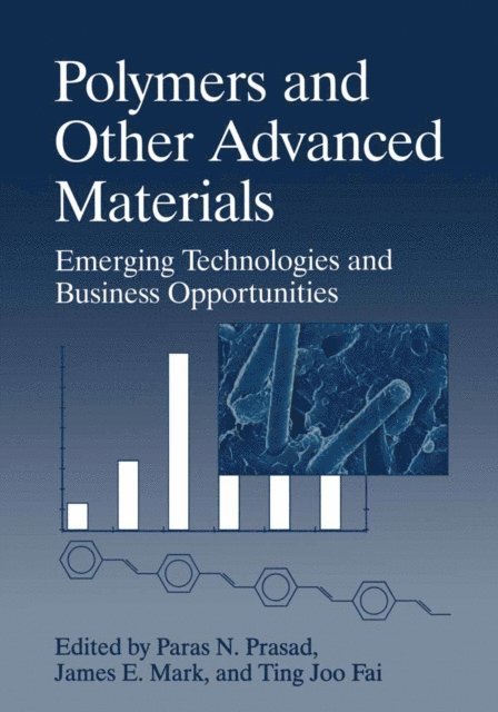 Paras N. Prasad, James E. Mark, Ting Joo Fai - Polymers and Other Advanced Materials, E-bok
