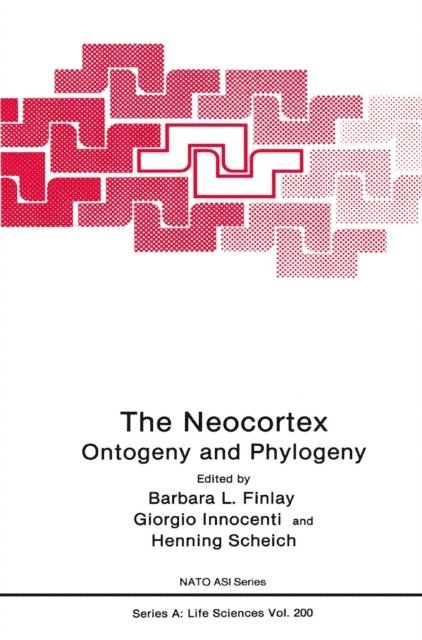 Henning Scheich, Giorgio M. Innocenti, Barbara L. Finlay - Neocortex, E-bok