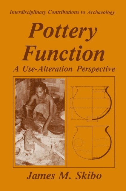 James M. Skibo - Pottery Function, E-bok