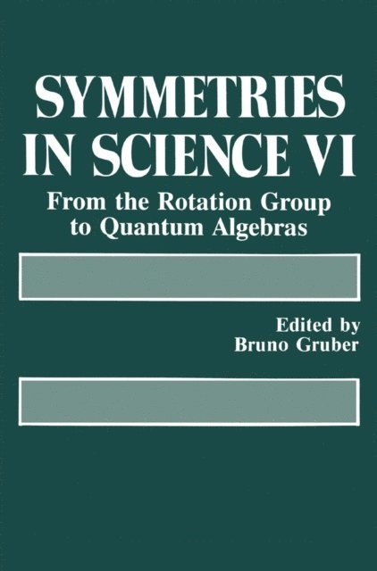 Samuel H. Gruber - Symmetries in Science VI, E-bok