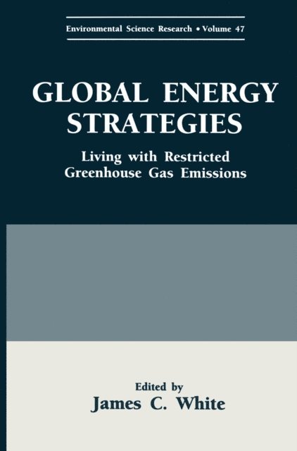 James C. White - Global Energy Strategies, E-bok