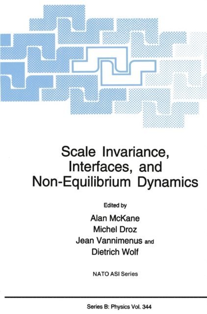 Dietrich Wolf, Jean Vannimenus, Michel Droz, Alan McKane - Scale Invariance, Interfaces, and Non-Equilibrium Dynamics, E-bok