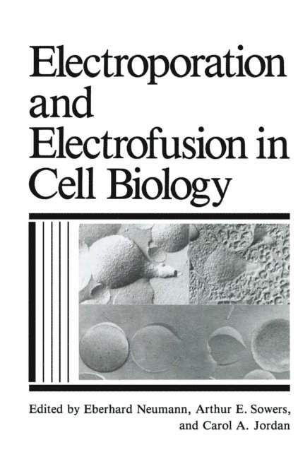 A.E. Sowers, E. Neumann, C.A. Jordan - Electroporation and Electrofusion in Cell Biology, E-bok