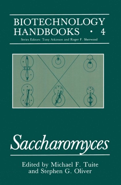 Stephen G. Oliver, Michael F. Tuite - Saccharomyces, E-bok
