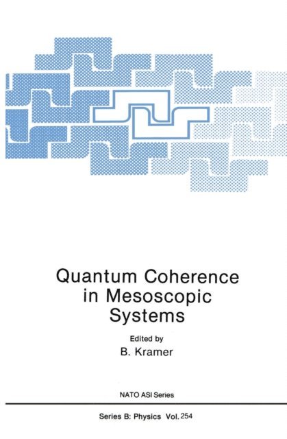 B. Kramer - Quantum Coherence in Mesoscopic Systems, E-bok