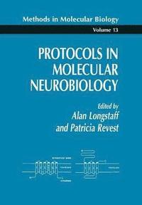 Protocols in Molecular Neurobiology