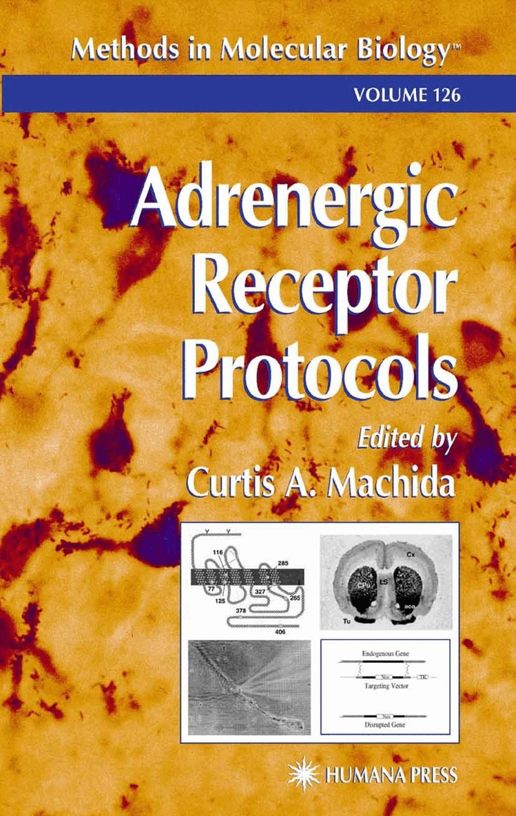Curtis A. Machida - Adrenergic Receptor Protocols, Häftad
