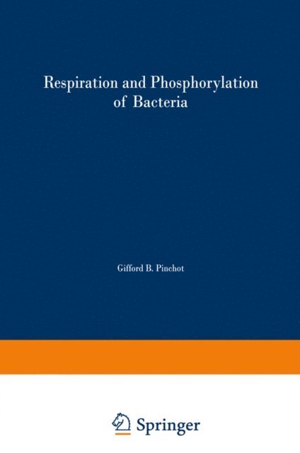 N. S. Gel man - Respiration and Phosphorylation of Bacteria, E-bok