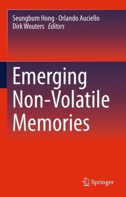 Dirk Wouters, Orlando Auciello, Seungbum Hong - Emerging Non-Volatile Memories, E-bok
