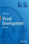 Visual Development
