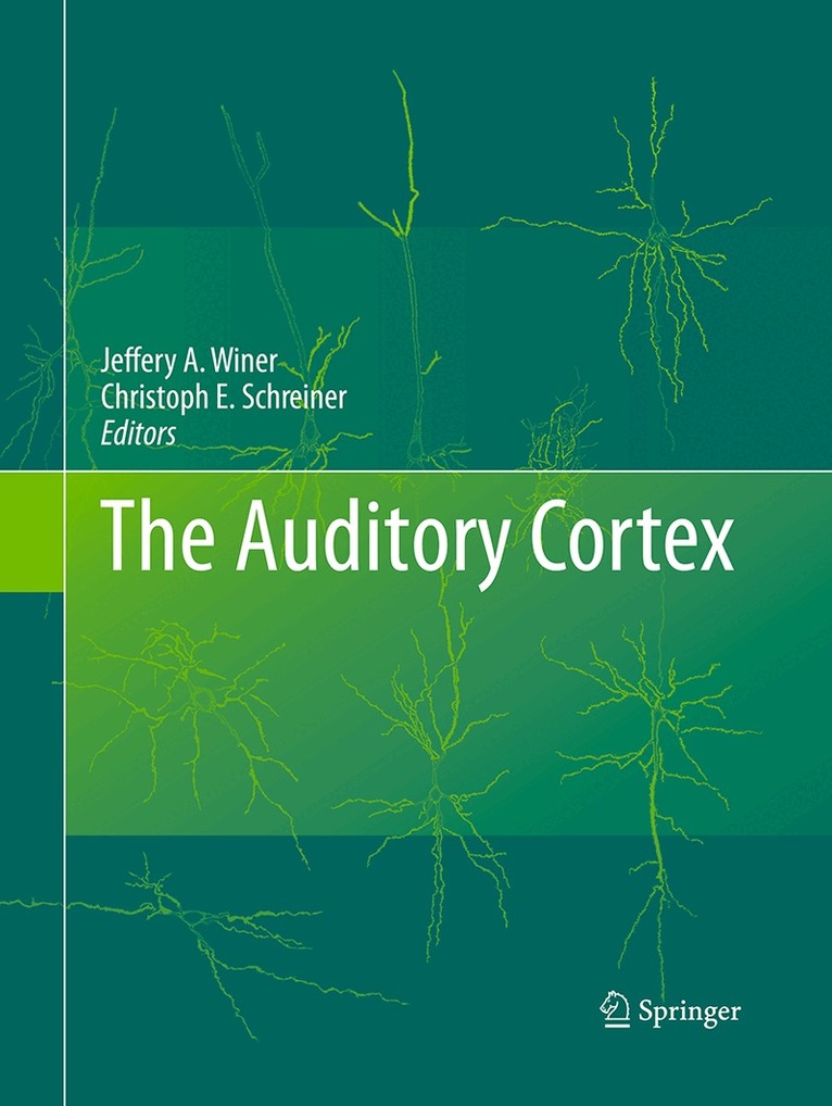 Jeffery A. Winer, Christoph E. Schreiner - Auditory Cortex, Häftad. Tillgänglighet: Lägg i varukorg