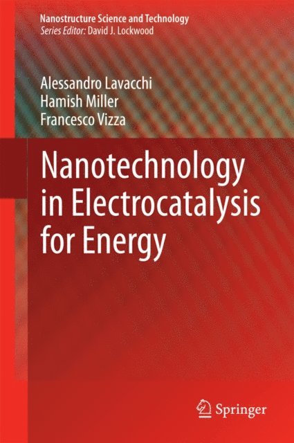 Francesco Vizza, Hamish Miller, Alessandro Lavacchi - Nanotechnology in Electrocatalysis for Energy, E-bok