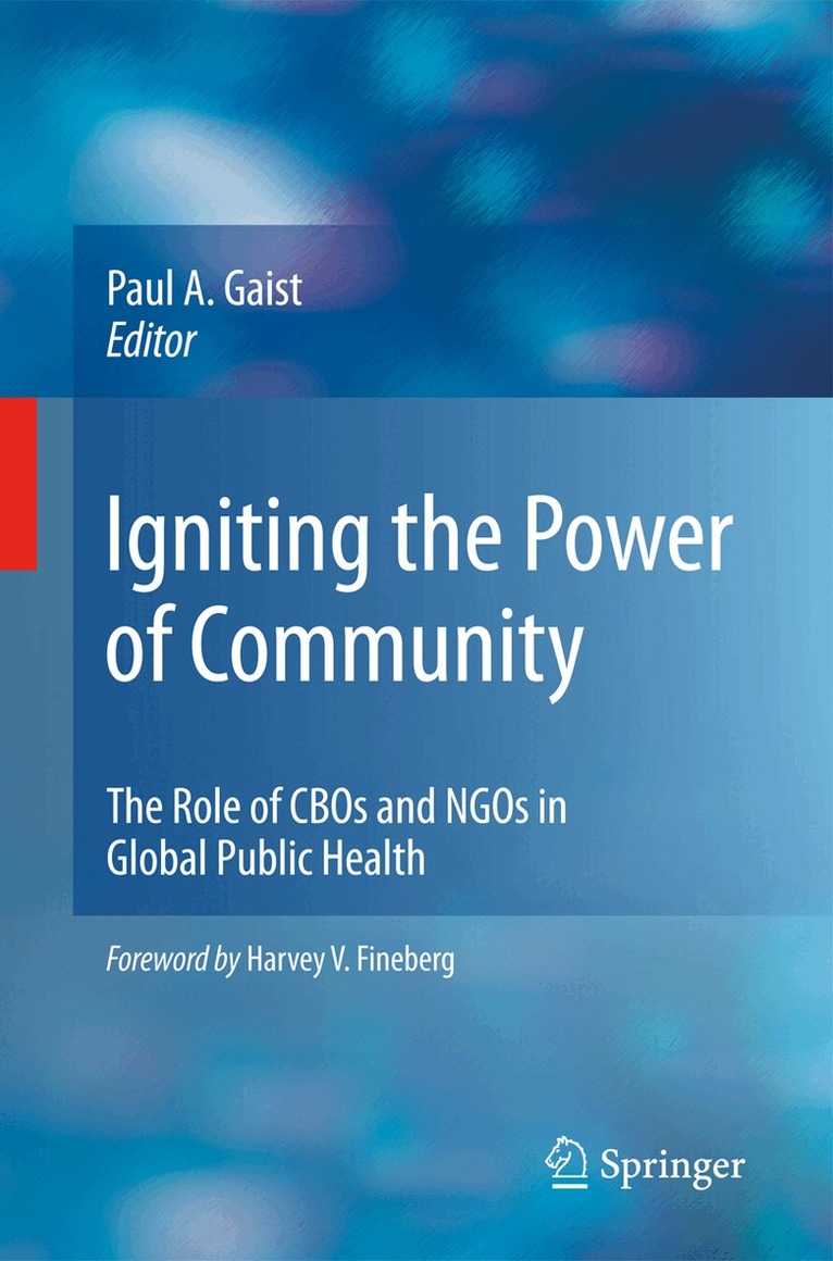 Paul A. Gaist - Igniting the Power of Community, Häftad