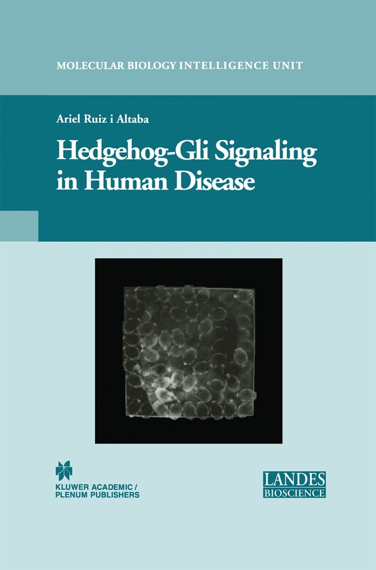 Ariel Ruiz i Altaba - Hedgehog-Gli Signaling in Human Disease, Häftad