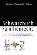 Schwarzbuch Familienrecht: Kinderrechte, Jugendwohlfahrt und Familienpolitik sterreichs