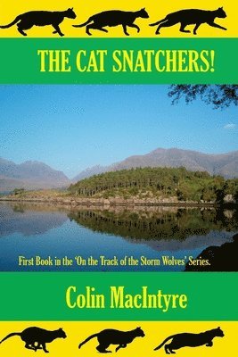 Colin Macintyre - The Cat Snatchers!, Häftad. Tillgänglighet: Lägg i varukorg