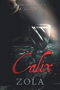 Zola - Calix: Pater, si possibile est, transeat a me calix iste, Häftad. Tillgänglighet: Lägg i varukorg