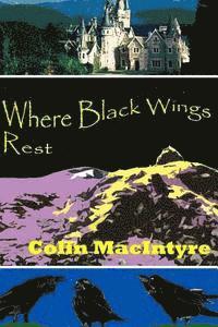 Colin Macintyre - Where Black Wings Rest, Häftad. Tillgänglighet: Lägg i varukorg