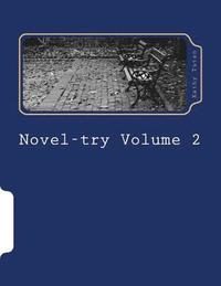 Novel-try Volume 2: Teens' Guide to Writig Your First Best-Selling Novel: The Mystery Novel