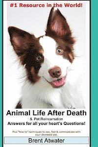 Brent Atwater - Animal Life After Death & Pet Reincarnation: Answers for all your heart's Questions!, Häftad. Tillgänglighet: Lägg i varukorg