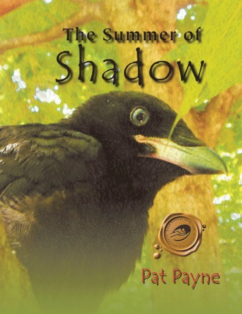 Summer of Shadow