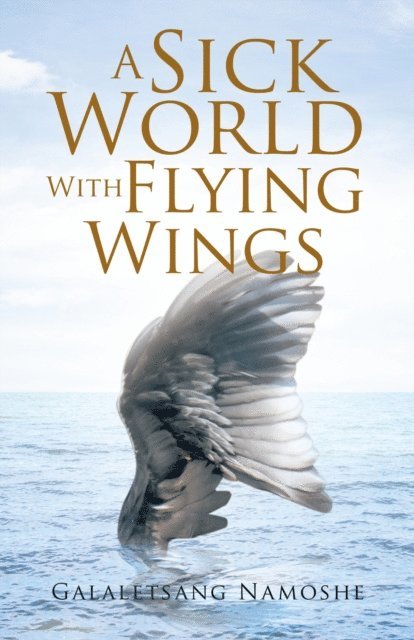 Galaletsang Namoshe - Sick World with Flying Wings, E-bok