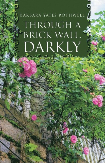 Barbara Yates Rothwell - Through a Brick Wall, Darkly, E-bok