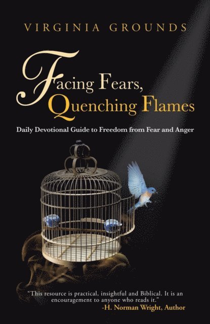 Virginia Grounds - Facing Fears, Quenching Flames, E-bok
