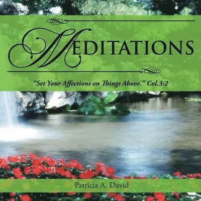 Patricia a David - Meditations, Häftad. Tillgänglighet: Lägg i varukorg