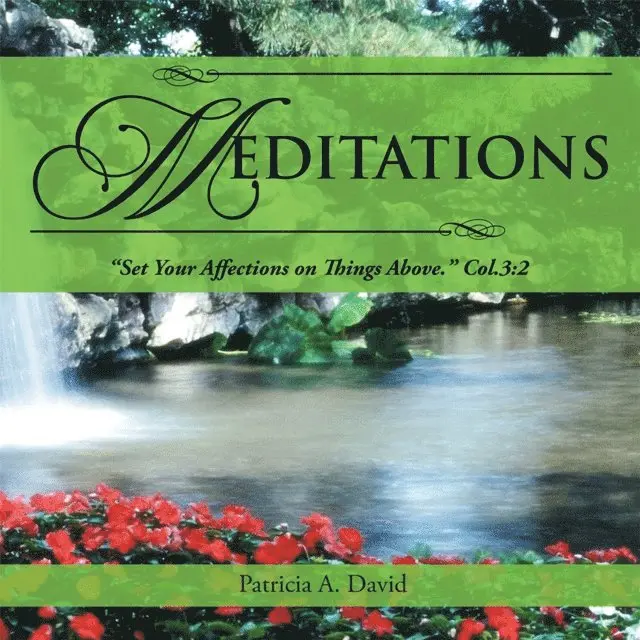 Patricia A. David - Meditations, E-bok. Tillgänglighet: Lägg i varukorg
