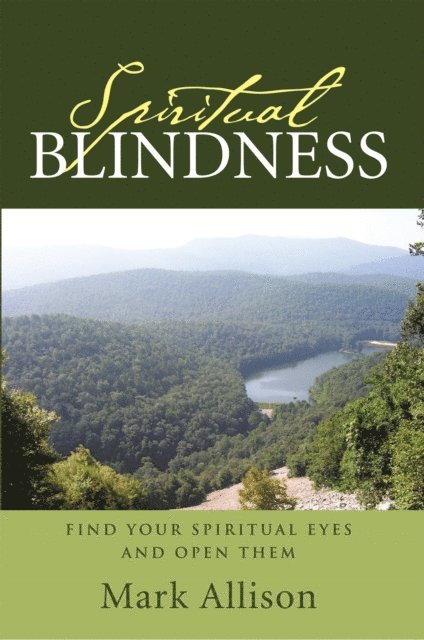 Mark Allison - Spiritual Blindness, E-bok