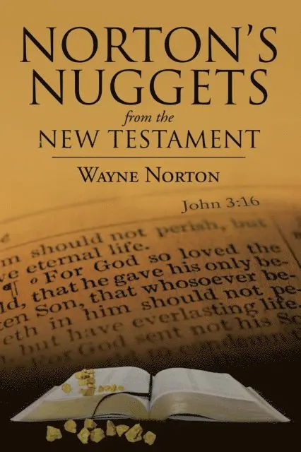 Wayne Norton - Norton's Nuggets from the New Testament, E-bok. Tillgänglighet: Lägg i varukorg