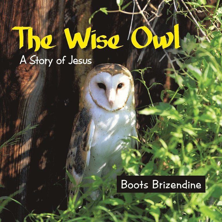 Boots Brizendine - Wise Owl, Häftad