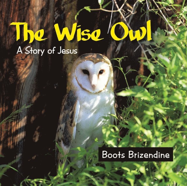 Boots Brizendine - Wise Owl, E-bok