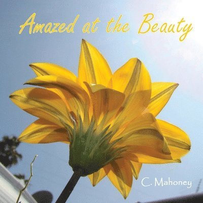 C Mahoney - Amazed at the Beauty, Häftad. Tillgänglighet: Lägg i varukorg