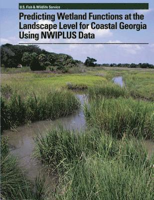 Ralph W. Tiner - Predicting Wetland Functions at the Landscape Level for Coastal Georgia Using NWIPlus Data, Häftad