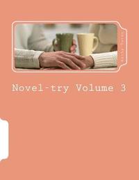 Novel-try-Volume 3: Teens' Gruide to Writing Your First Best Seller: The Romance Novel