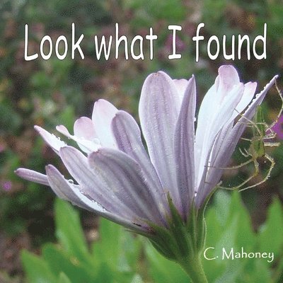 C Mahoney - Look what I found, Häftad. Tillgänglighet: Lägg i varukorg