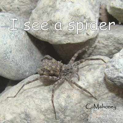 C Mahoney - I see a spider, Häftad. Tillgänglighet: Lägg i varukorg