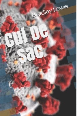 Bradley Lewis - Cul De Sac, Häftad