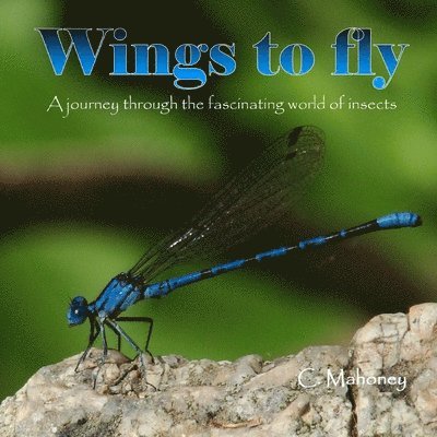 C Mahoney - Wings to fly, Häftad. Tillgänglighet: Lägg i varukorg