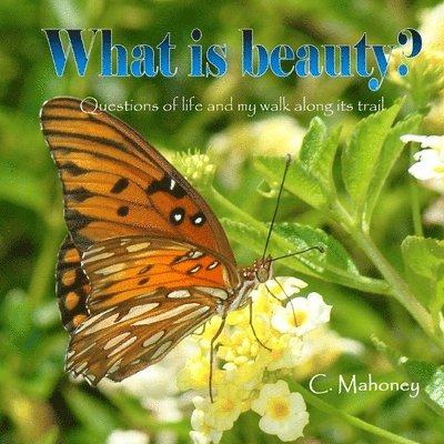 C Mahoney - What is beauty, Häftad. Tillgänglighet: Lägg i varukorg