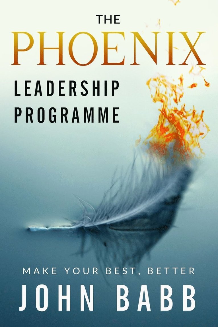 Derek Murphy, John Babb - Phoenix Leadership Programme, Häftad