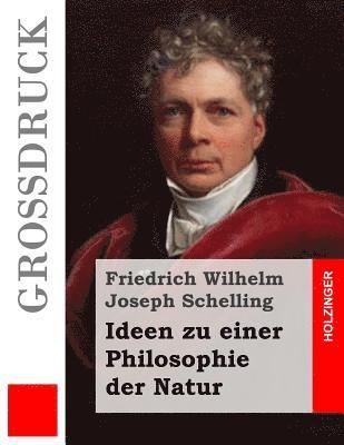 Friedrich Wilhelm Joseph Schelling - Ideen zu einer Philosophie der Natur (Großdruck), Häftad. Tillgänglighet: Lägg i varukorg