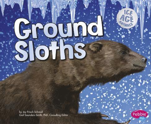 Joy Frisch-Schmoll - Ground Sloths, Inbunden