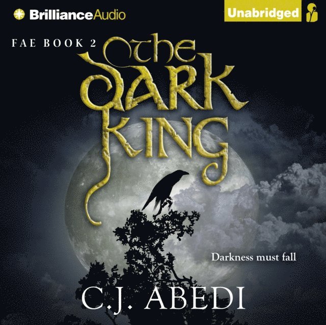 C.J. Abedi - Dark King, Ljudbok
